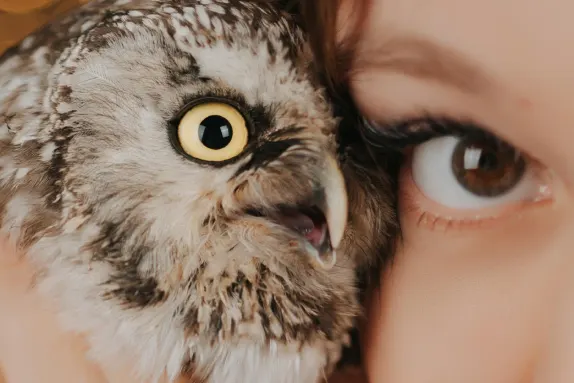 CasinoCasino Casino Ënnerstëtzung